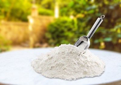 shutterstock_2261844863